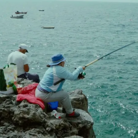 アパートホテル Sur Restinga 3*